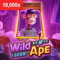 Đá gà trực tiếp đầy kịch tính